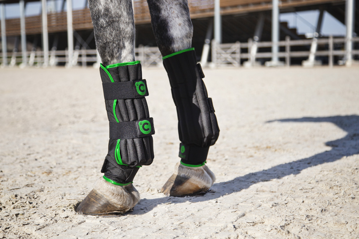 O´Cool high quality products for horses