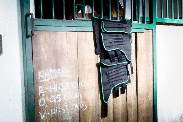 O´Cool accessory bag for drying