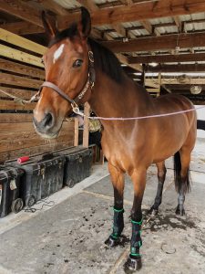 cold water boots Chiquey